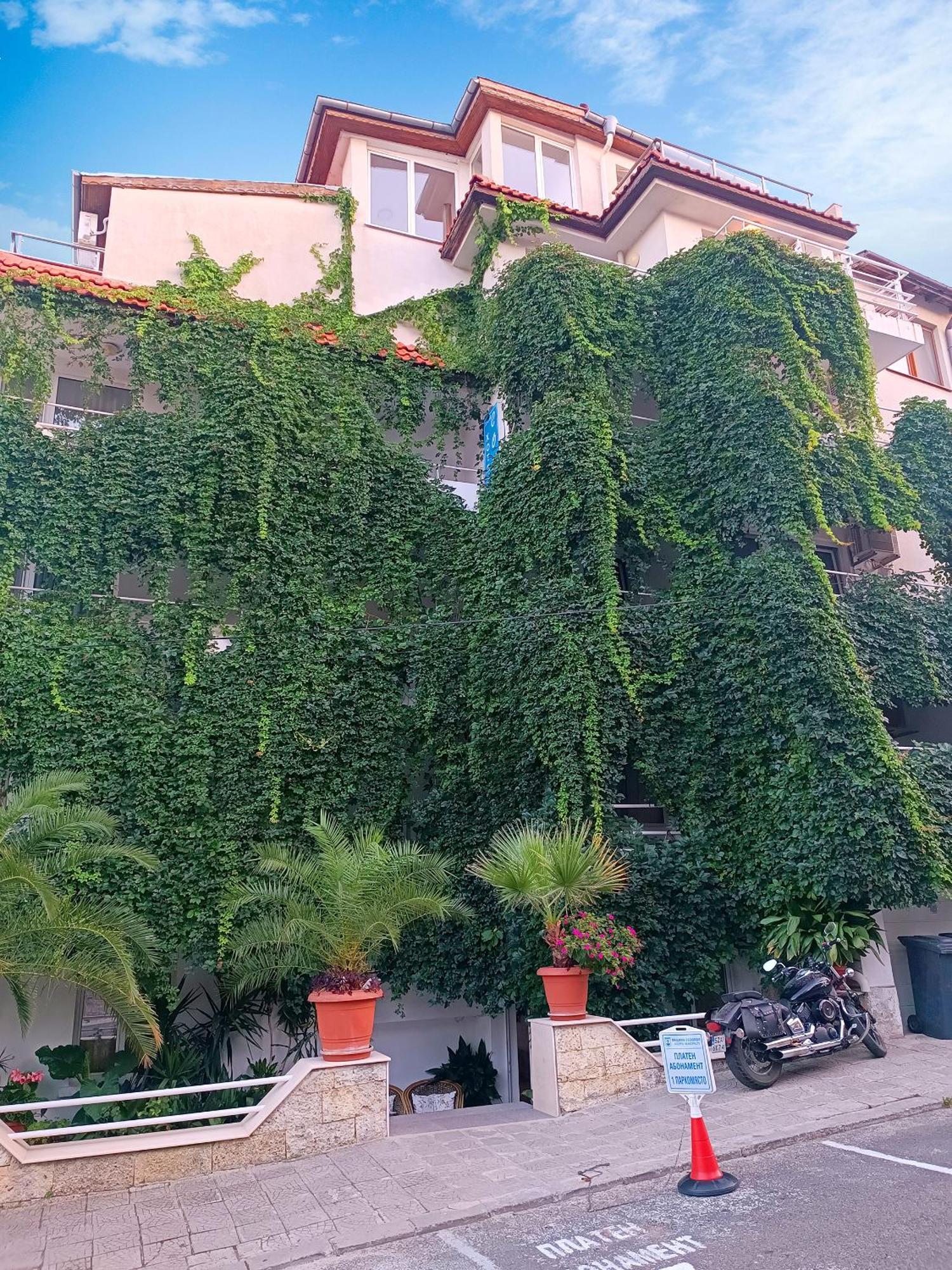 Family Hotel Sofi Sozopol Eksteriør billede